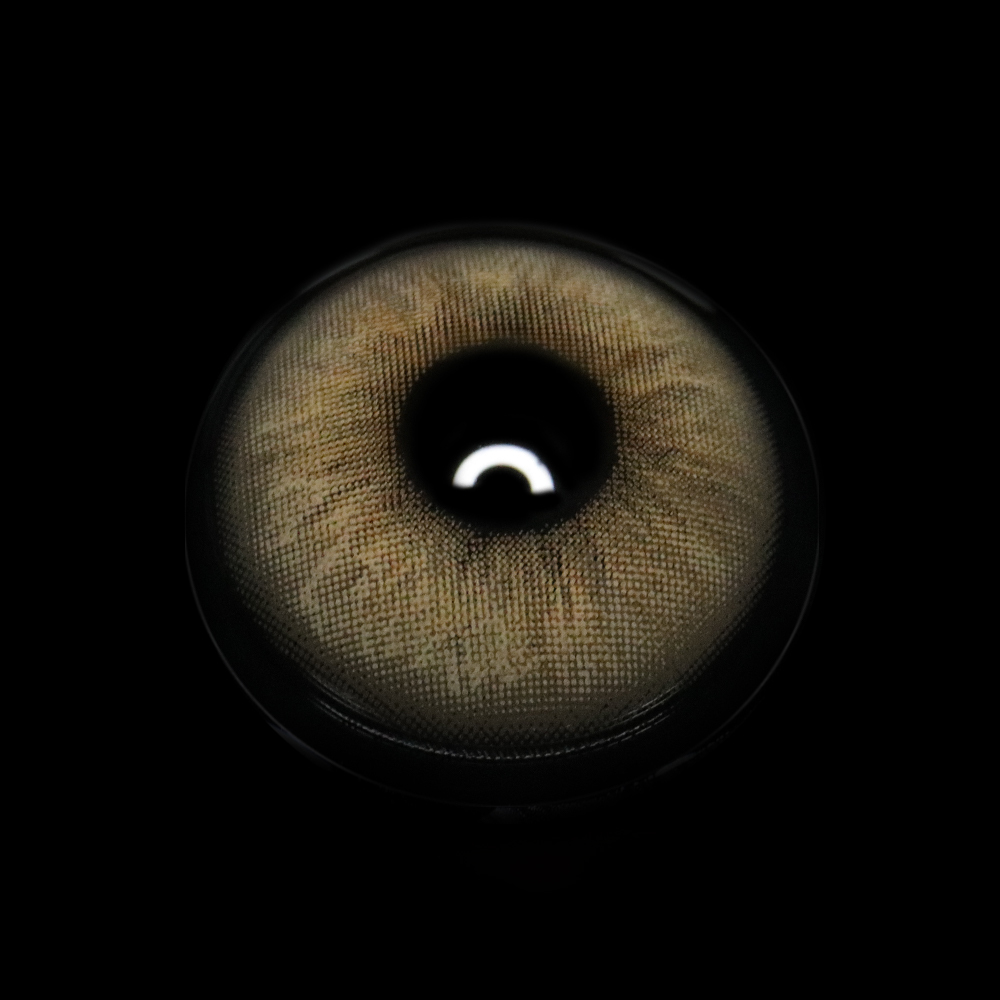 Pallas Brown Coloured Contact Lenses